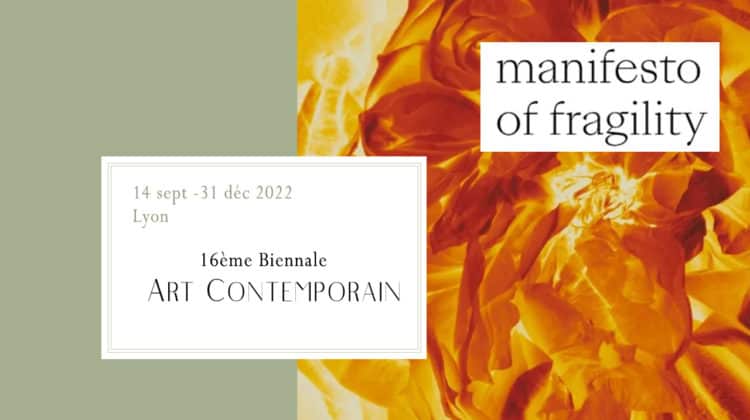 Lyon – Biennale d’Art Contemporain