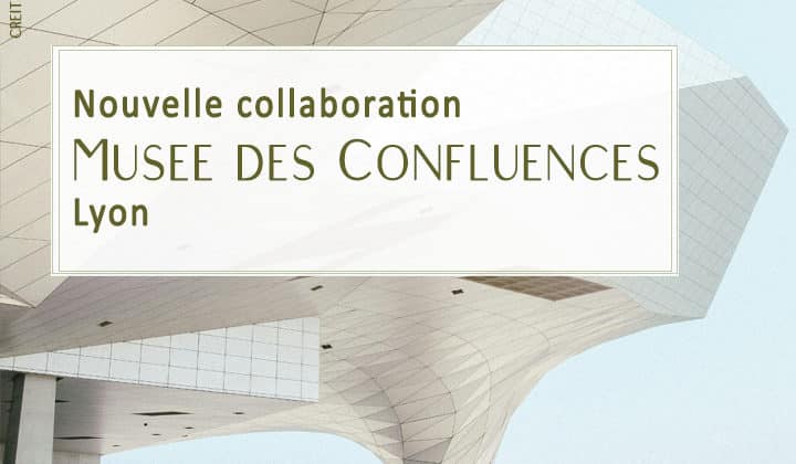 Boutique Musée des Confluences (Lyon)