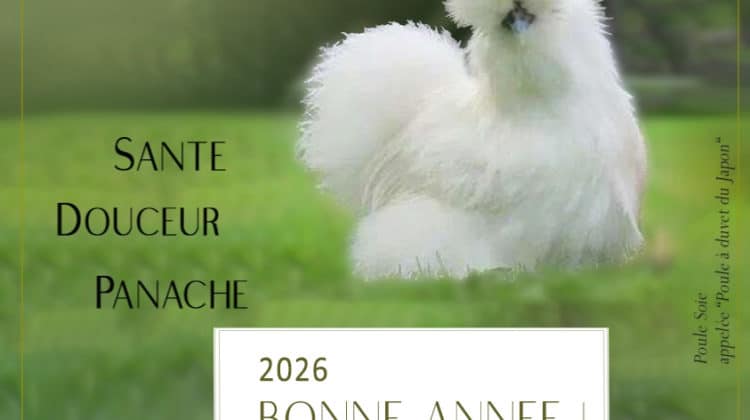 Bonne Année !
